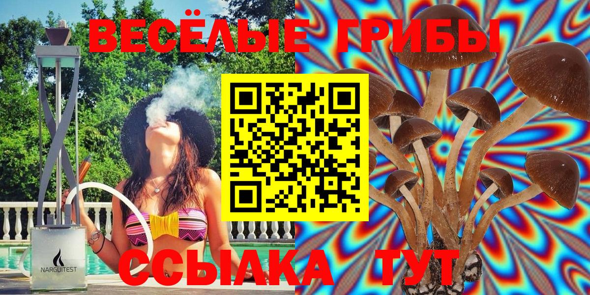 Славгород  Галлюциногенные грибы GOLDEN TEACHER  Псилоцибиновые грибы Psilocybine cubensis  Вход с VPN 