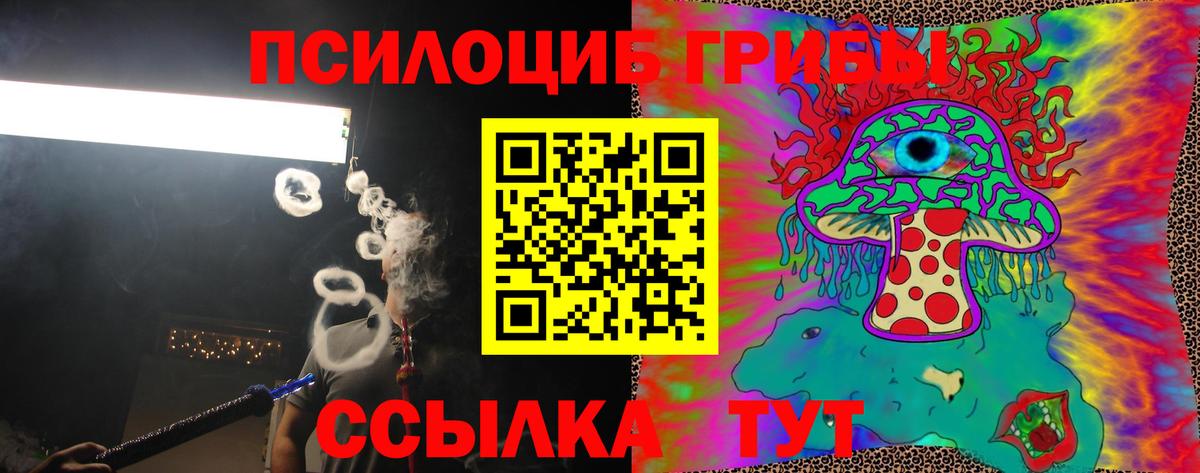 Псилоцибиновые грибы мицелий Славгород